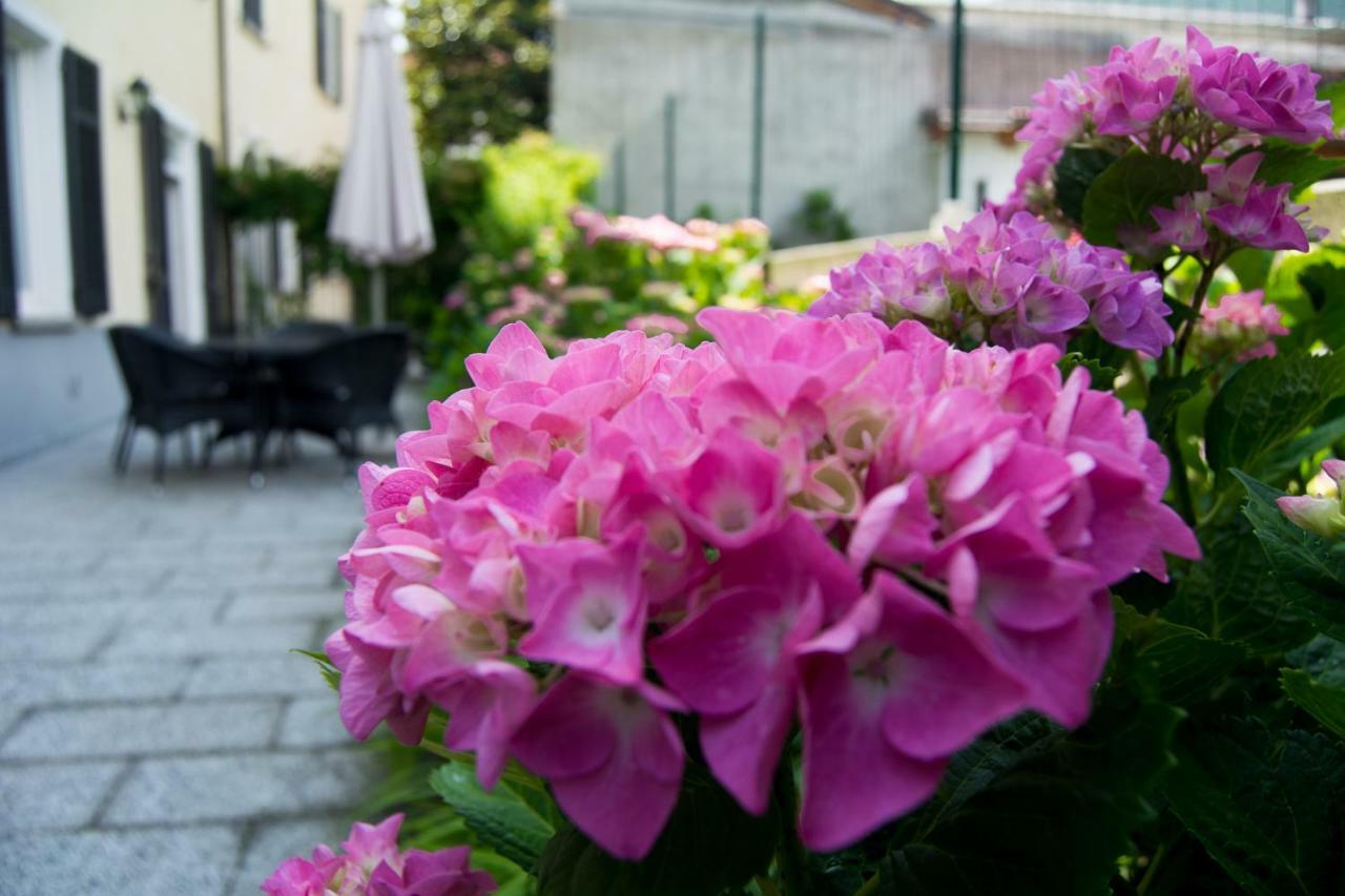 Appartamento Giardino delle Ortensie Cannobio Esterno foto